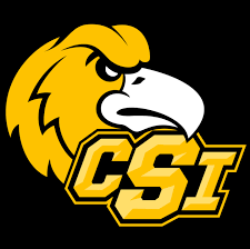 CSI logo