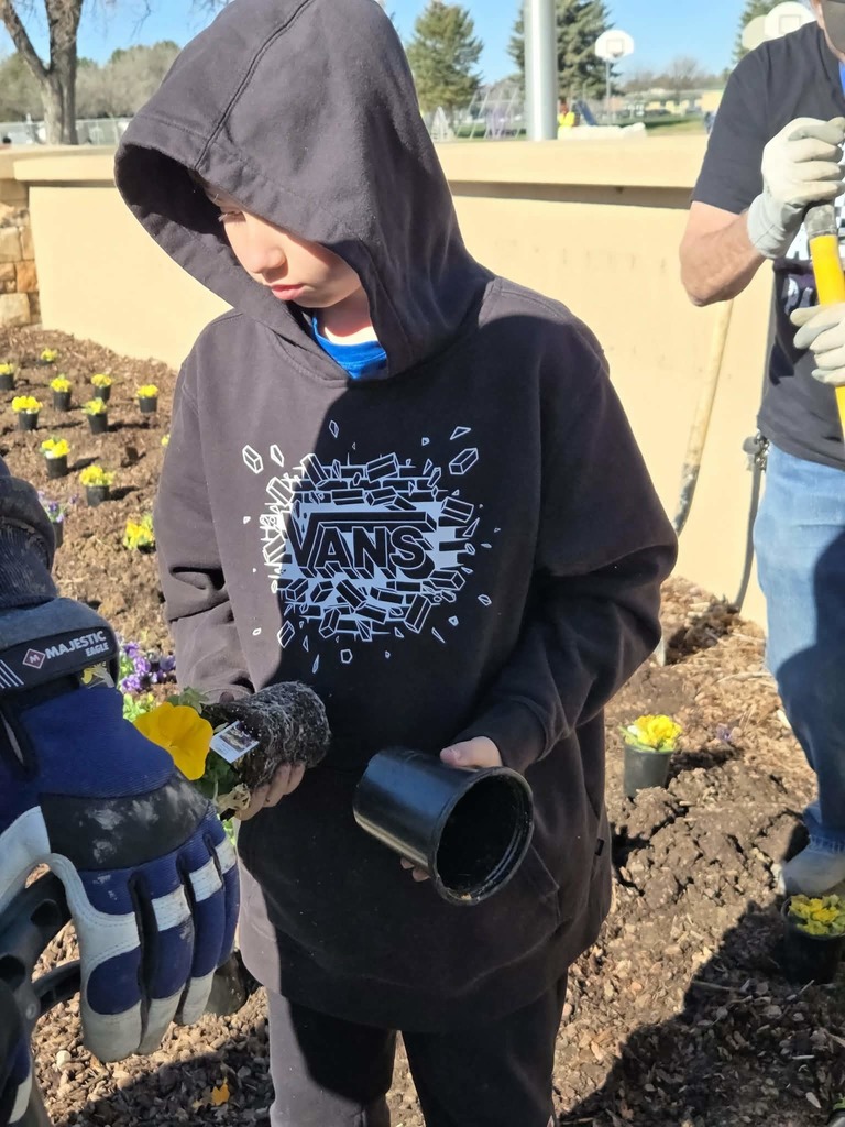 Student plants flowers