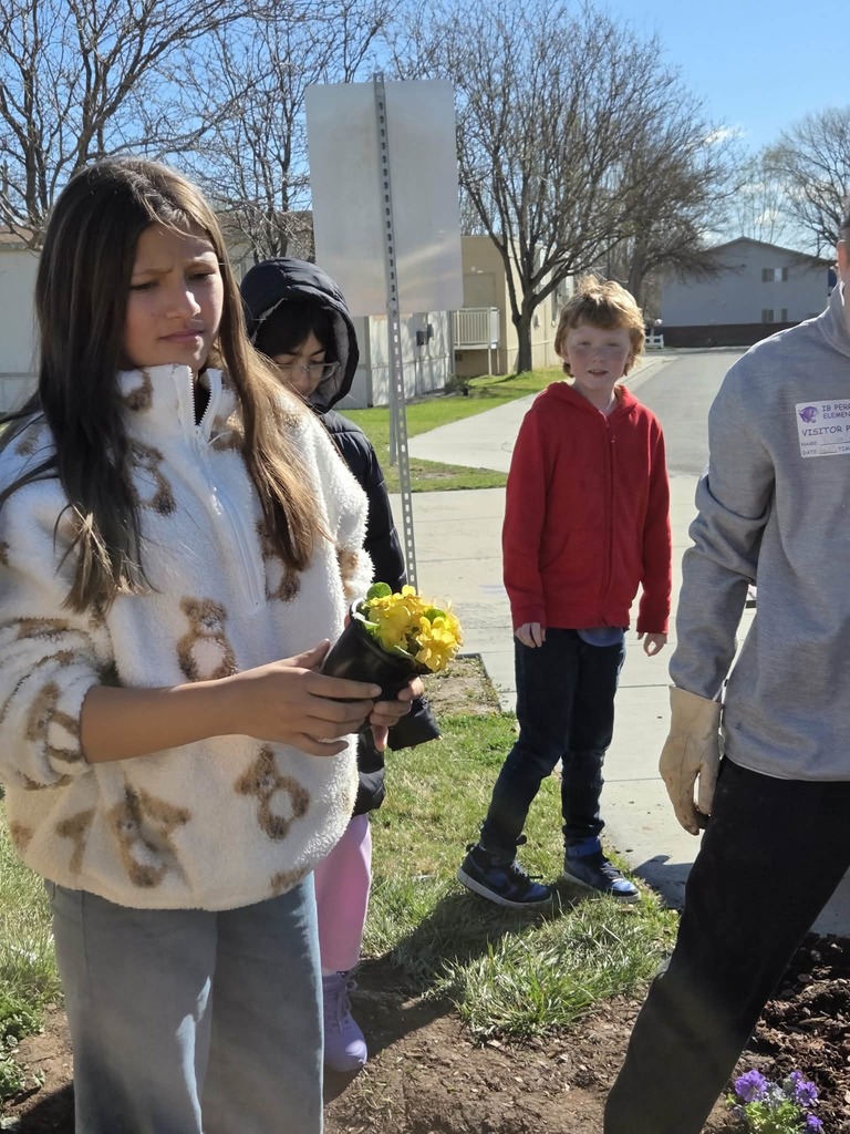 Students planting flowers