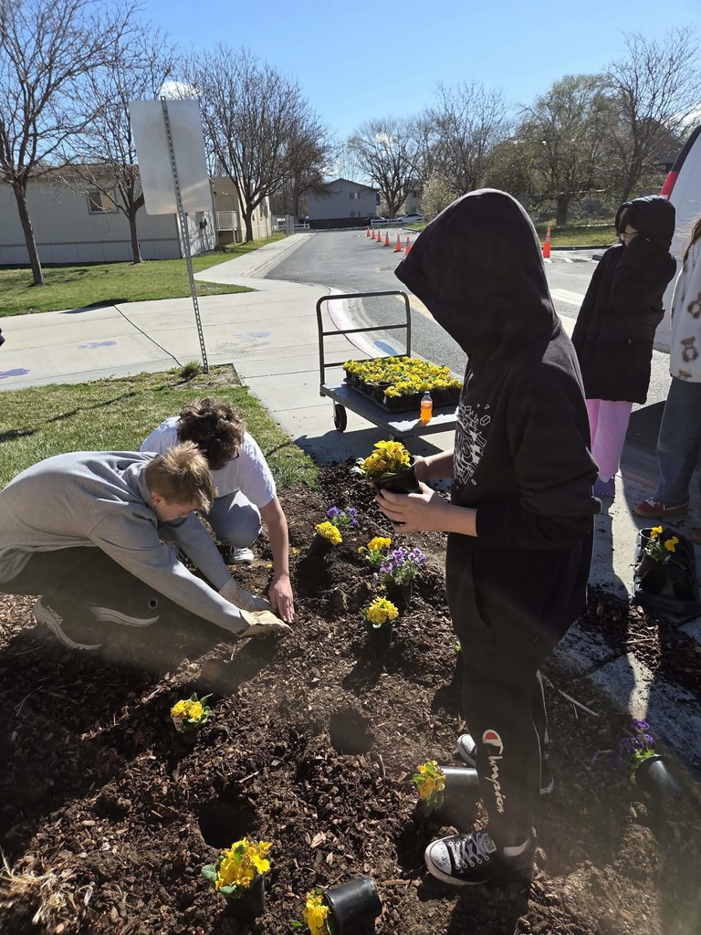 Students planting flowers