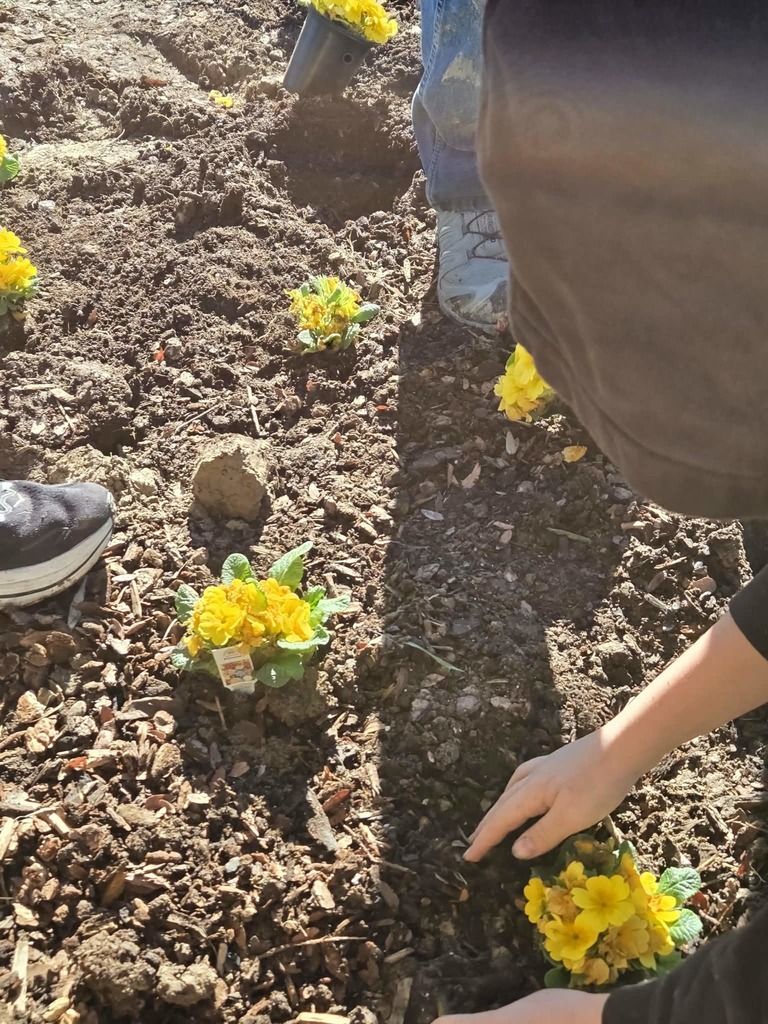 Students planting flowers