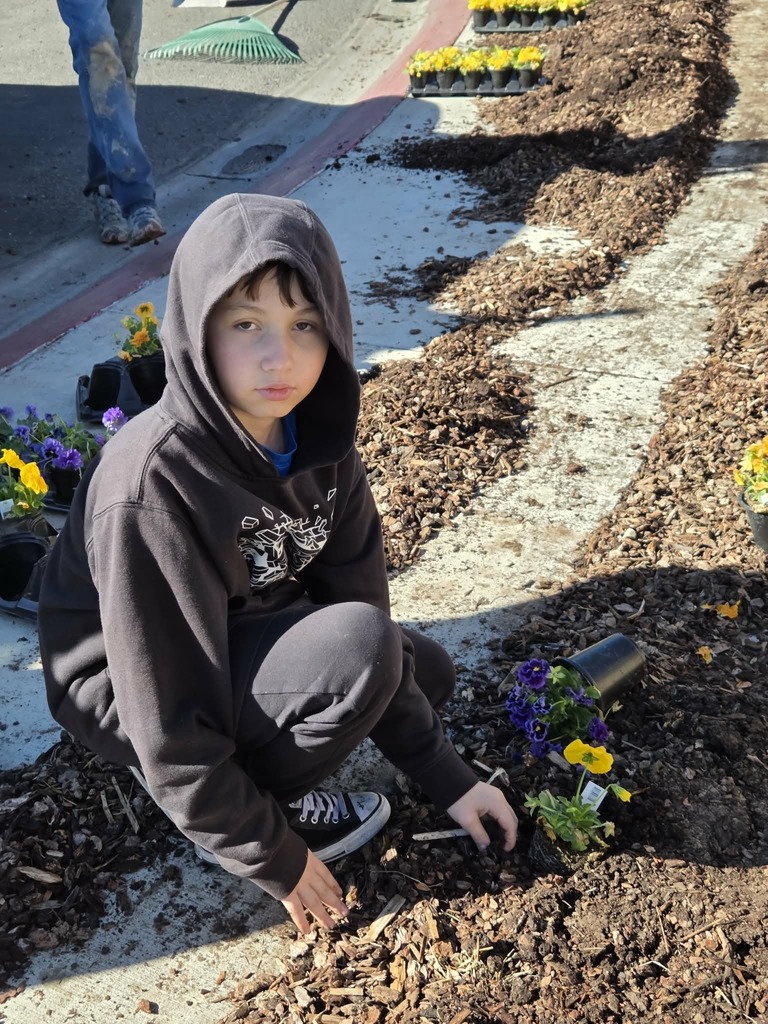 Student planting flowers