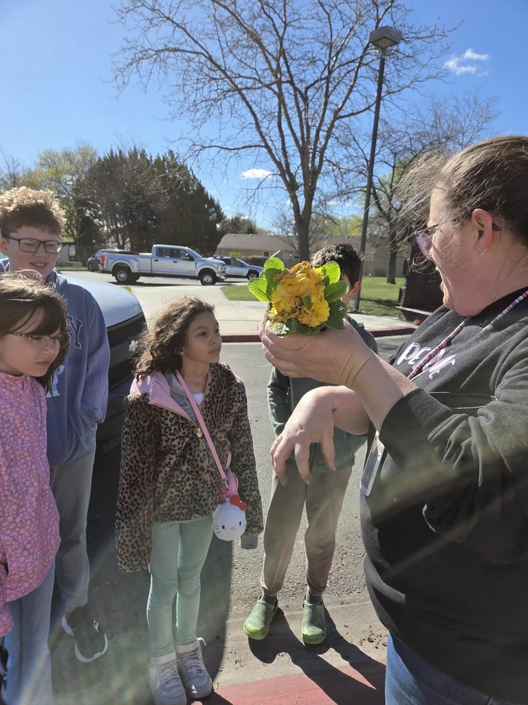 Students planting flowers