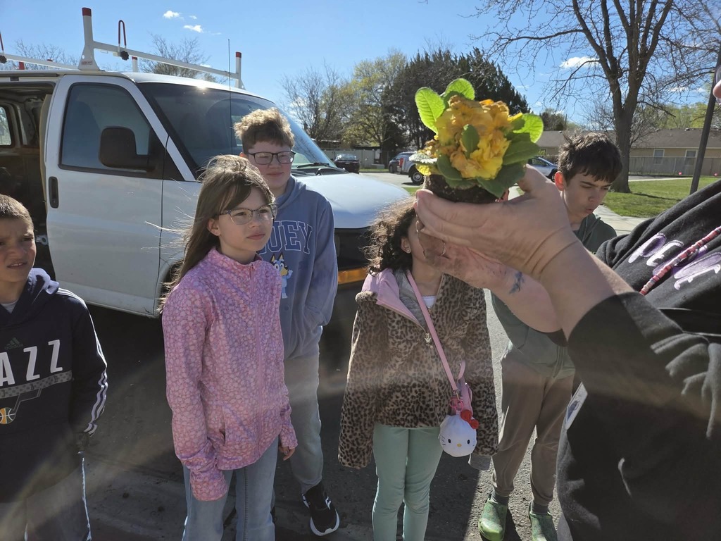 Students planting flowers