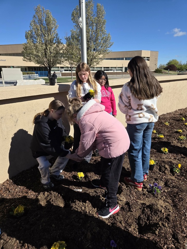Students planting flowers