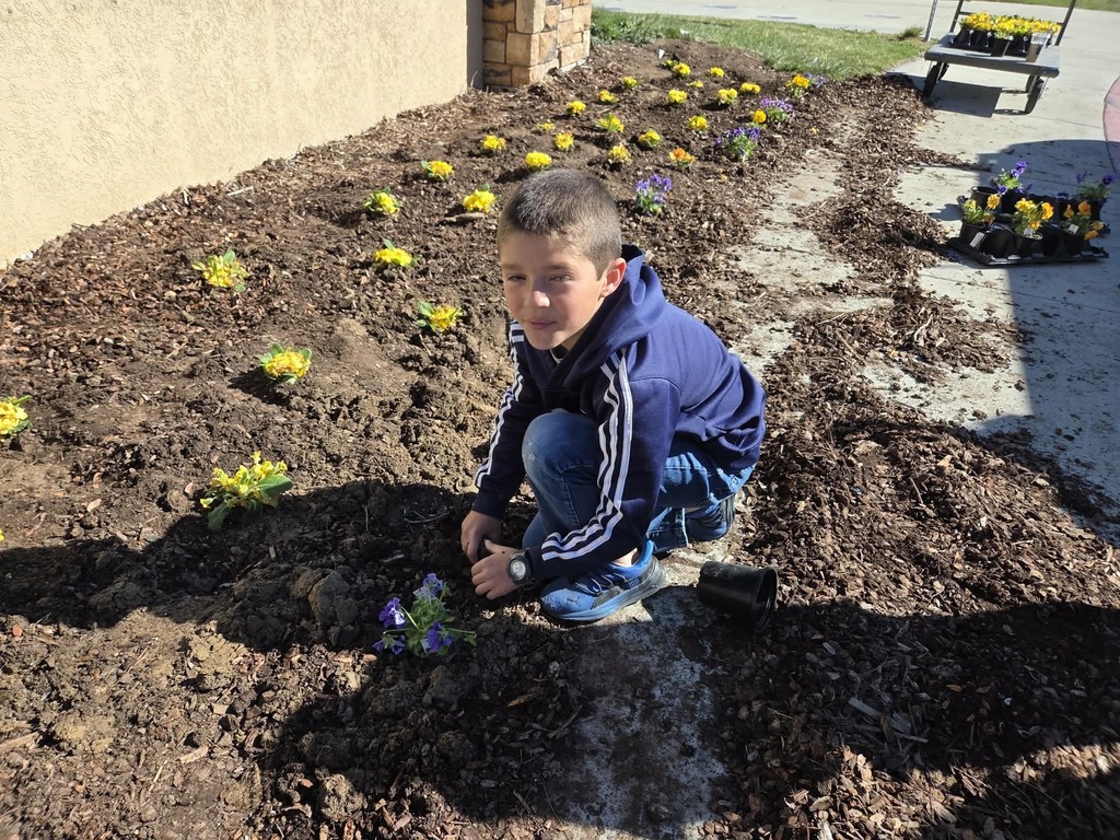Students planting flowers
