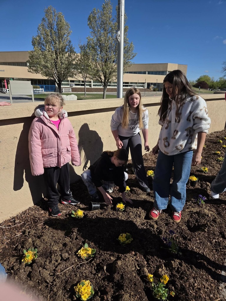 Students planting flowers
