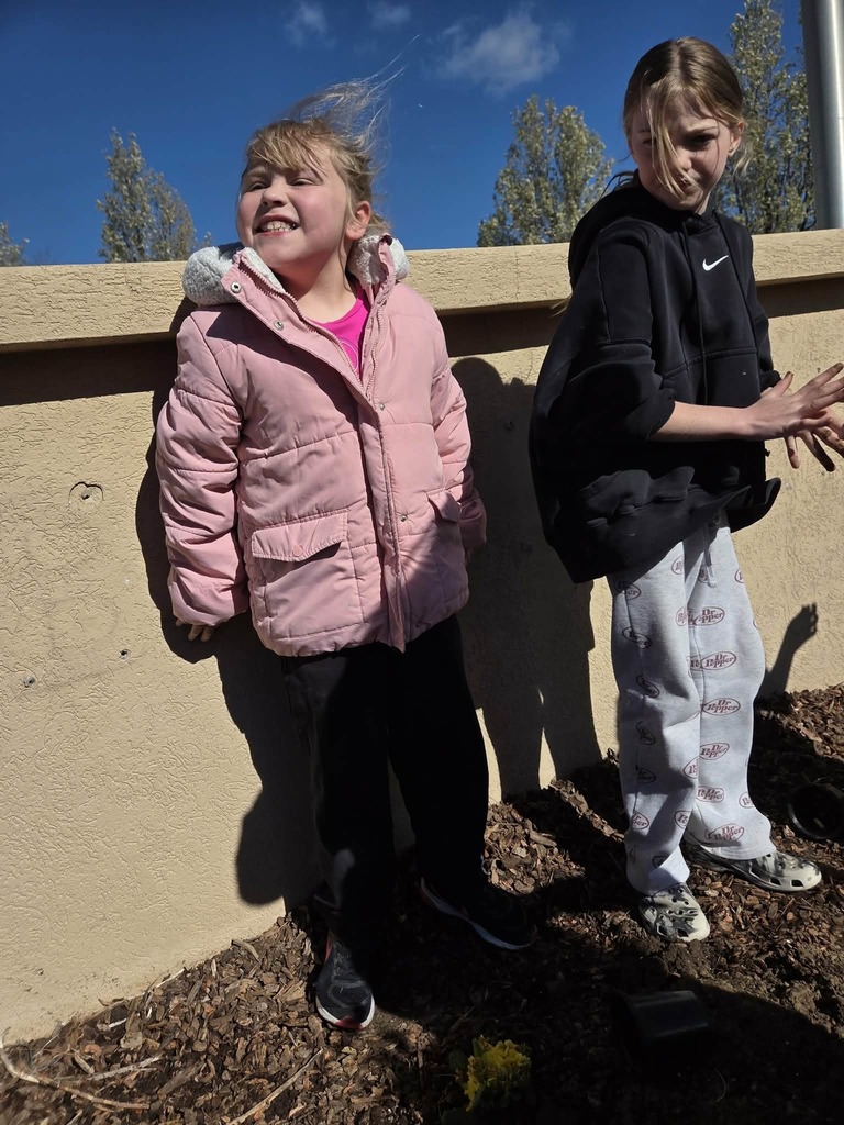 Students planting flowers