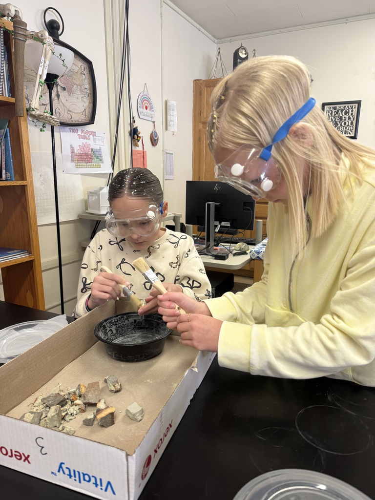 picture of two students examining rock samples