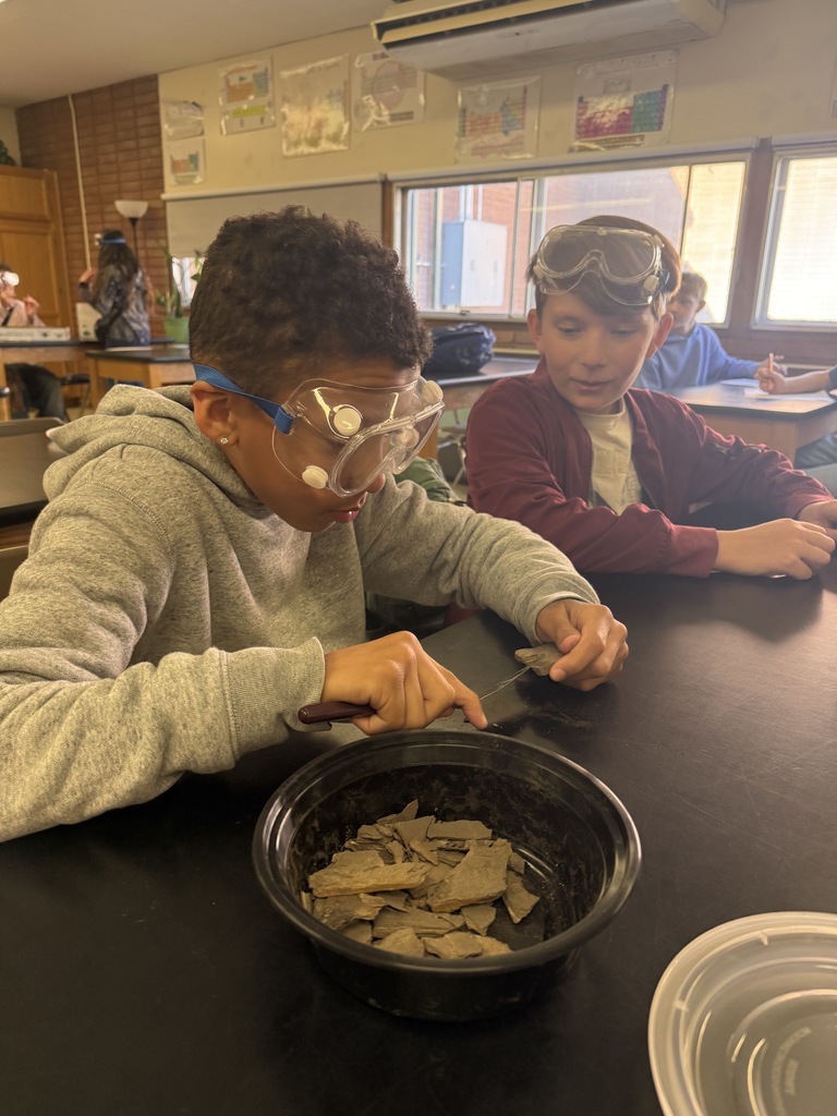 picture of two students examining rock samples