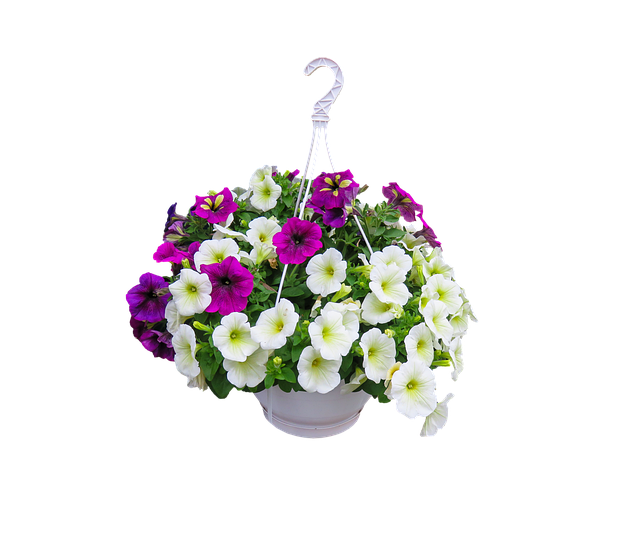 hanging file basket