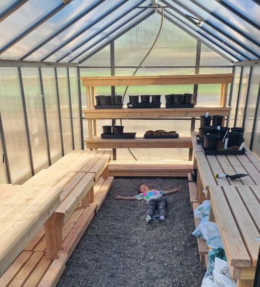 A greenhouse now lined with newly built work benches and a large shelf at the end. There's also a child that's boycotting standing laying in the middle of the walkway