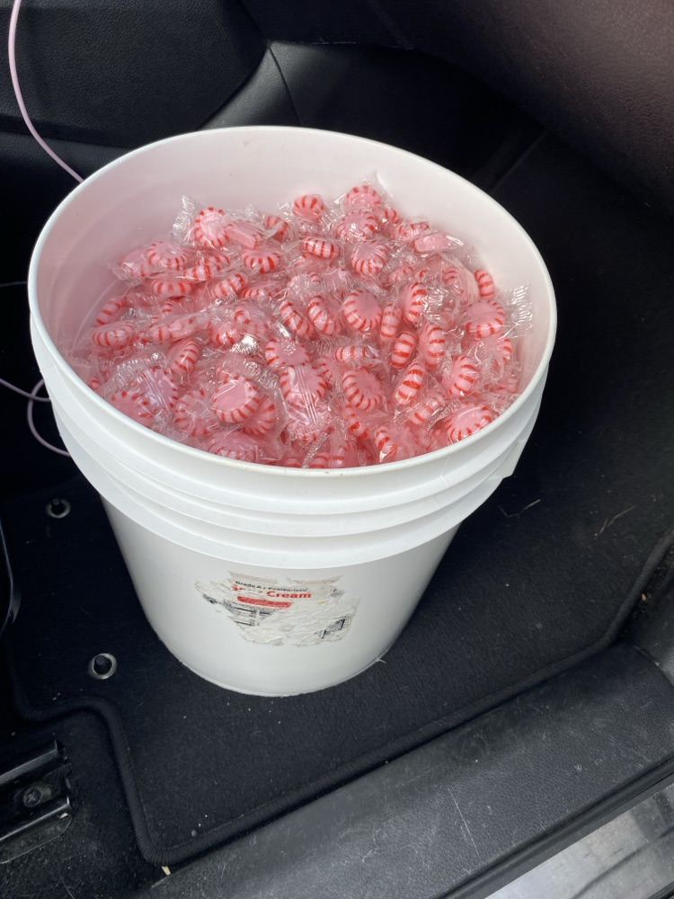 mints