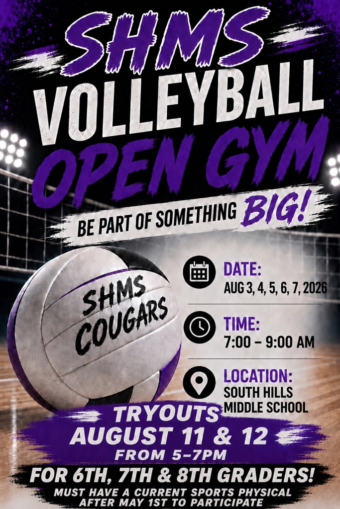 volleyball flyer