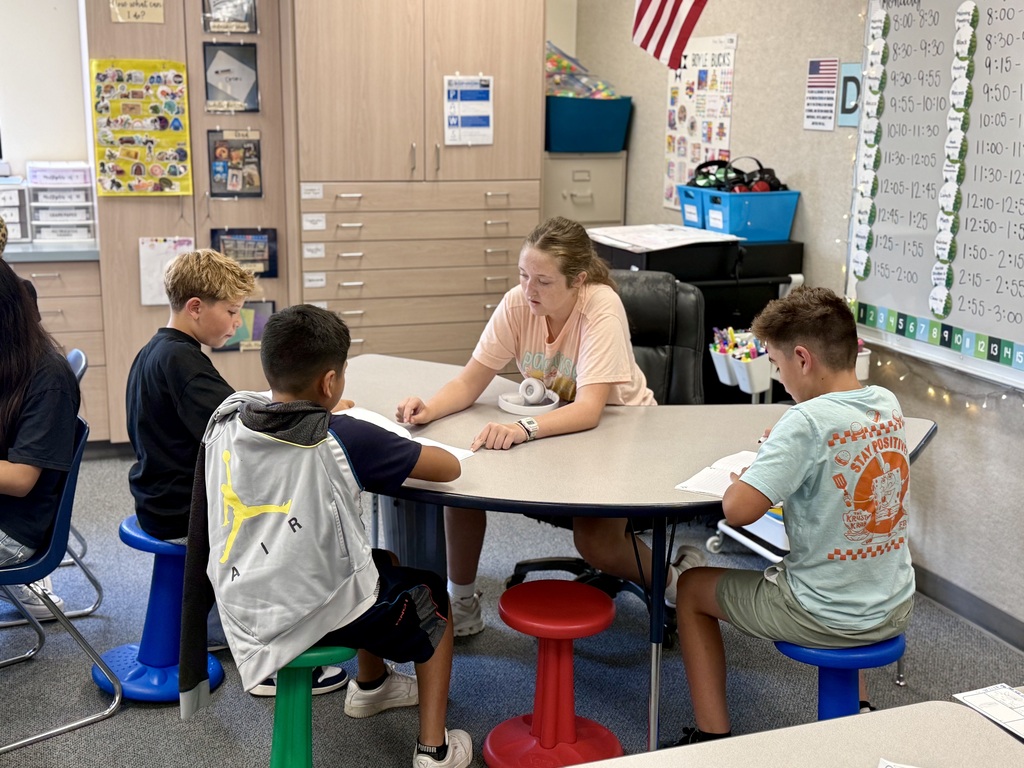 Student Mentor