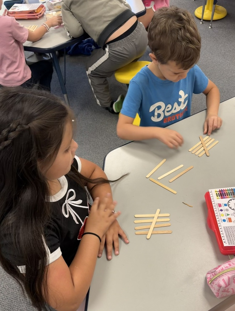 A child in a blue shirt and another in a black shirt sit at a table arranging popsicle sticks.