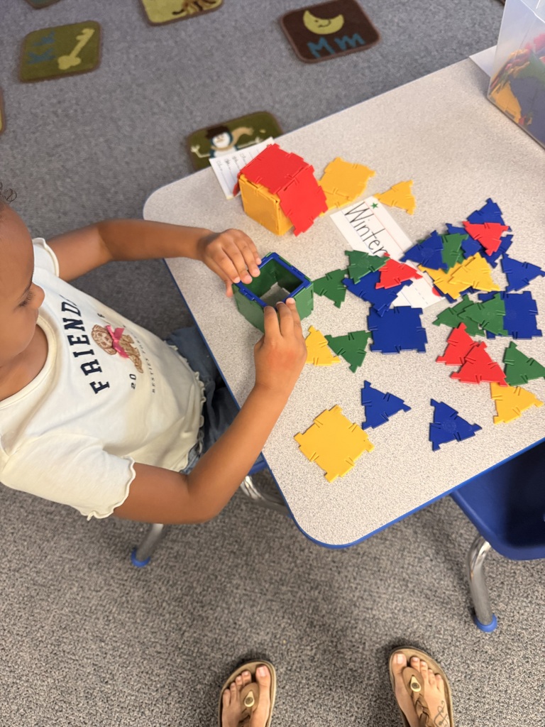 A child in a white t-shirt sits at a table, sorting colorful geometric shapes on a carpeted floor.