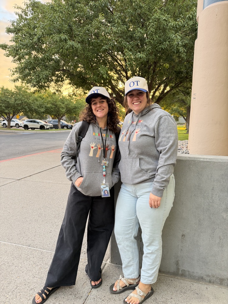 Teachers Twinning