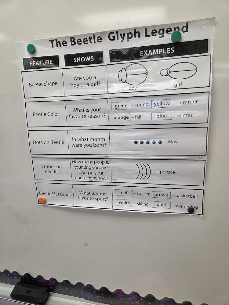 beetle math