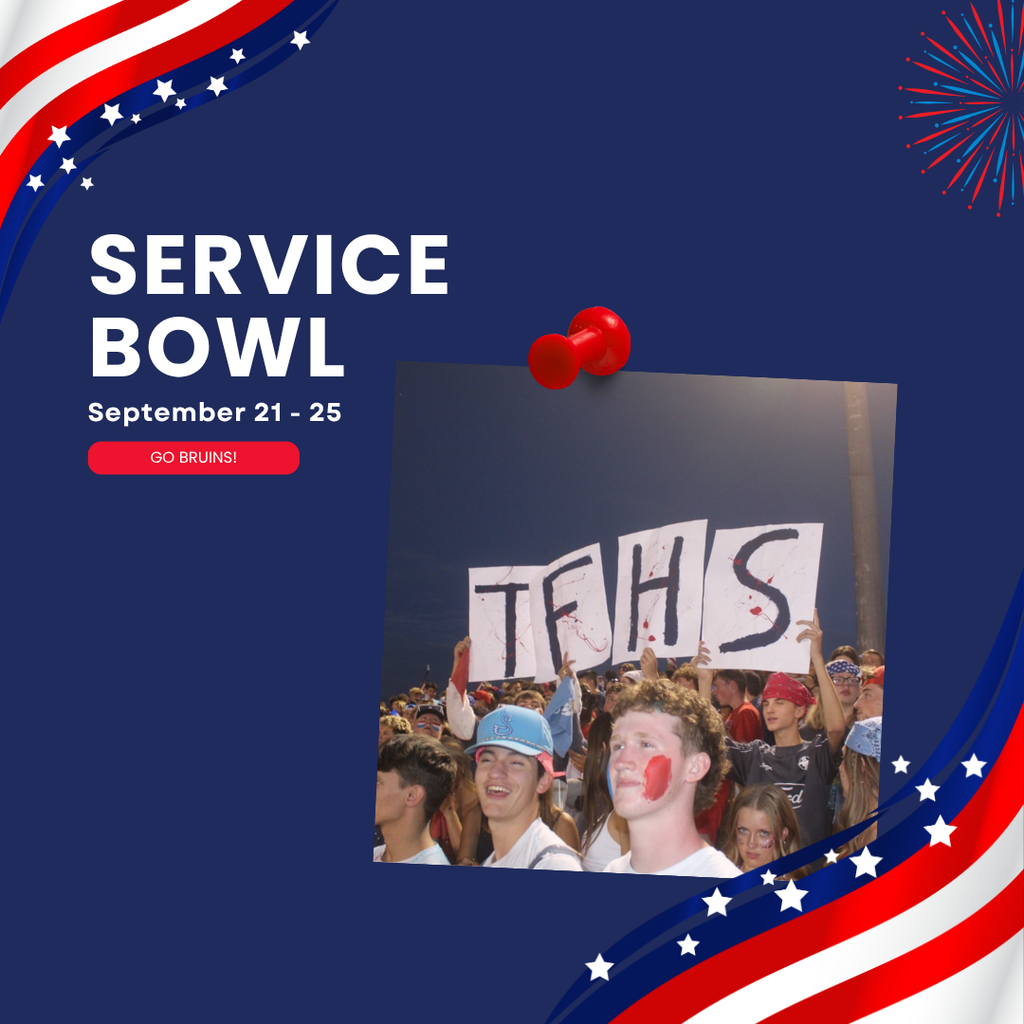 Poster for Service Bowl with a photo of people cheering, pin, and American flag design.