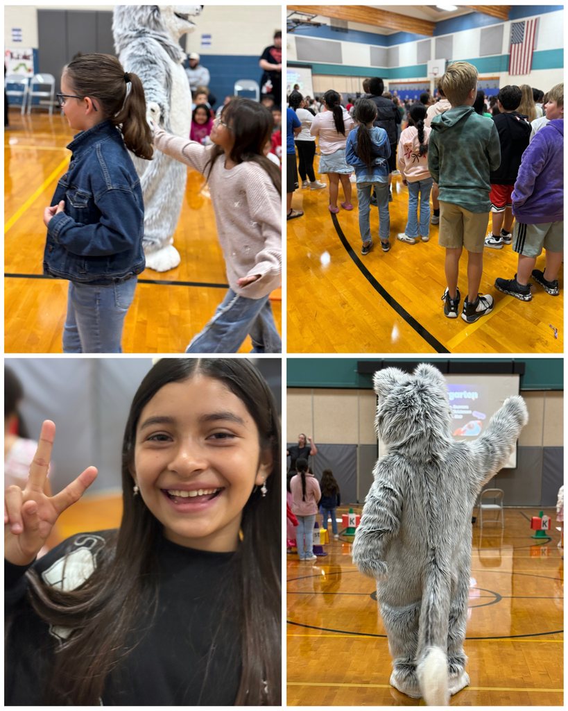 Four photos show kids in a school gym. First two have a mascot. One photo shows a smiling girl.
