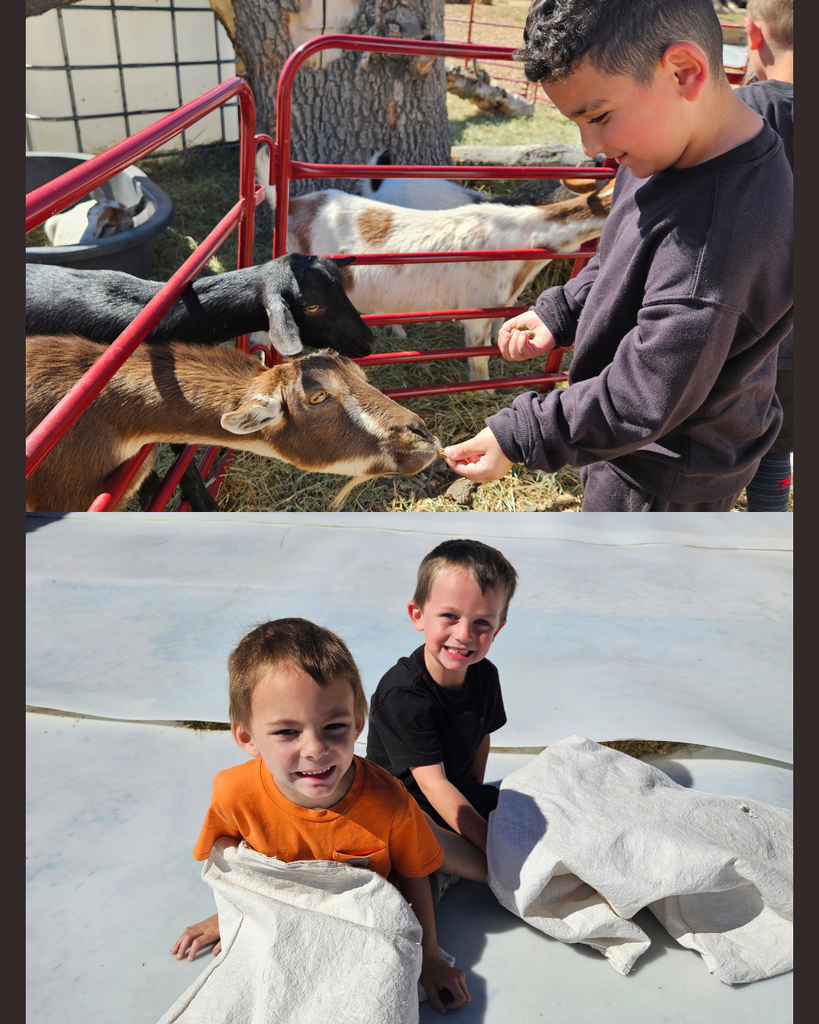 Two images: a boy feeding a goat in a red pen, and two boys sitting, one holding a towel.