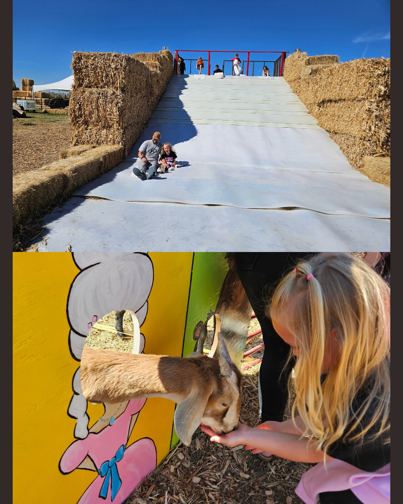 Two images: one with a person sliding down a plastic slide surrounded by hay bales, another with a girl feeding a goat.