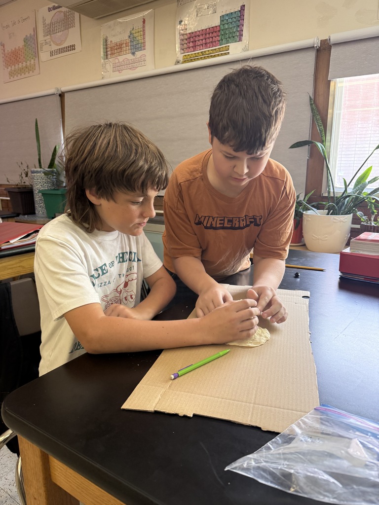 Two boys examine a piece of clay on a table. A potted plant, a pencil, and plastic bags are on the table.