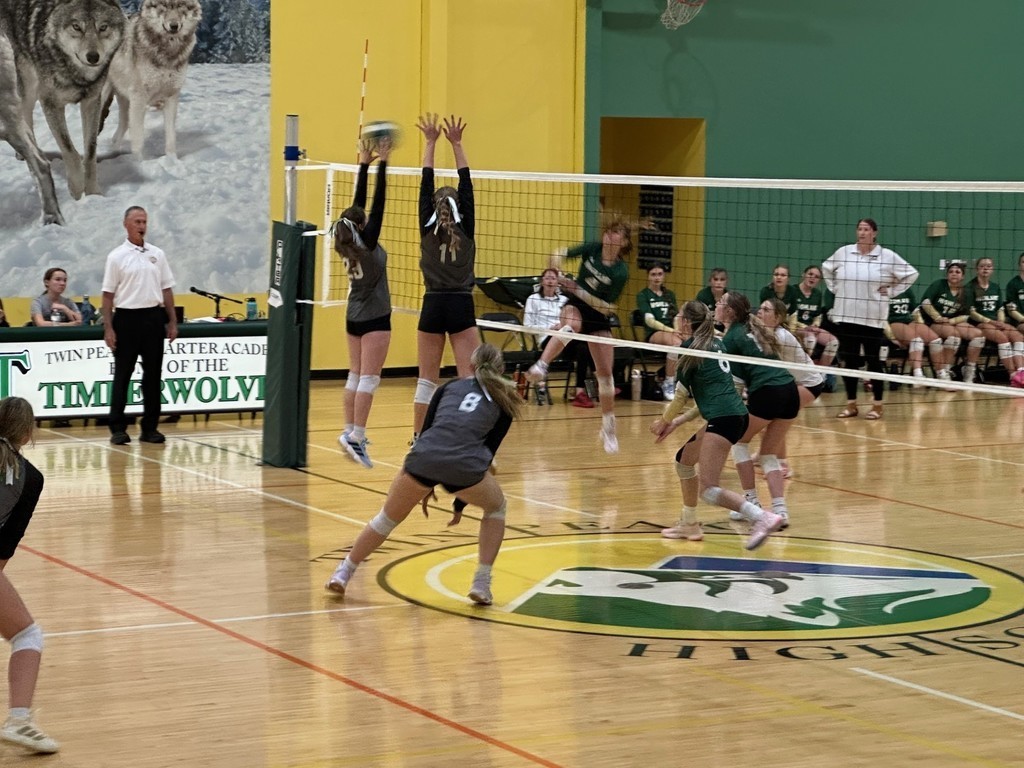 Volleyball