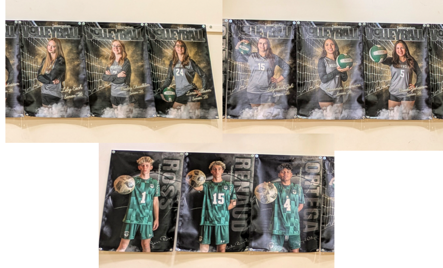 senior banners