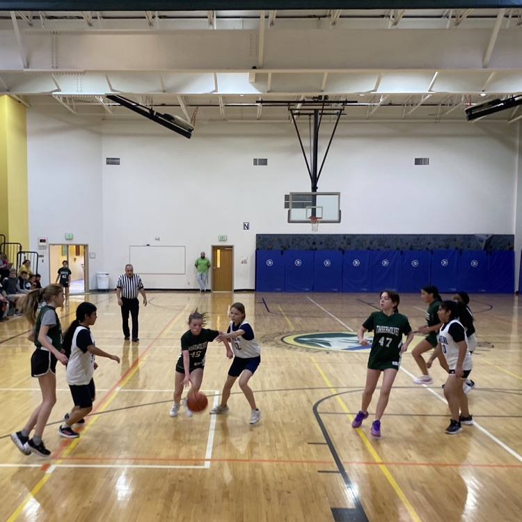 middle school girls basketball
