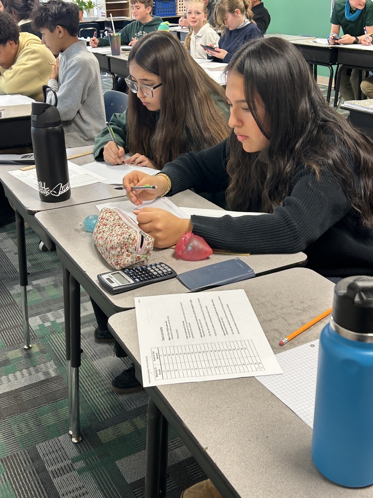 Students doing math assignment with calculator 