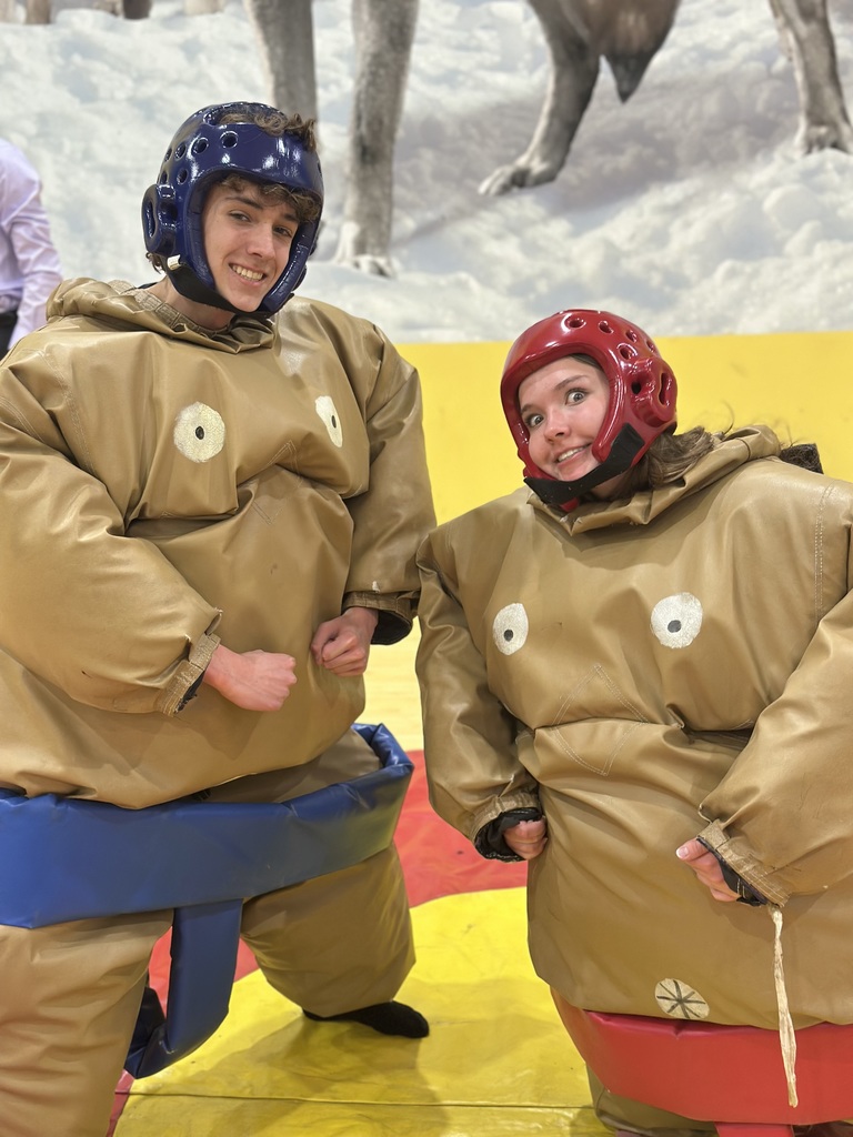 Sumo Suit Fun