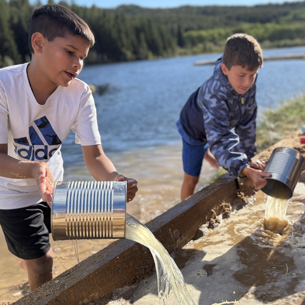 students playing on the beach