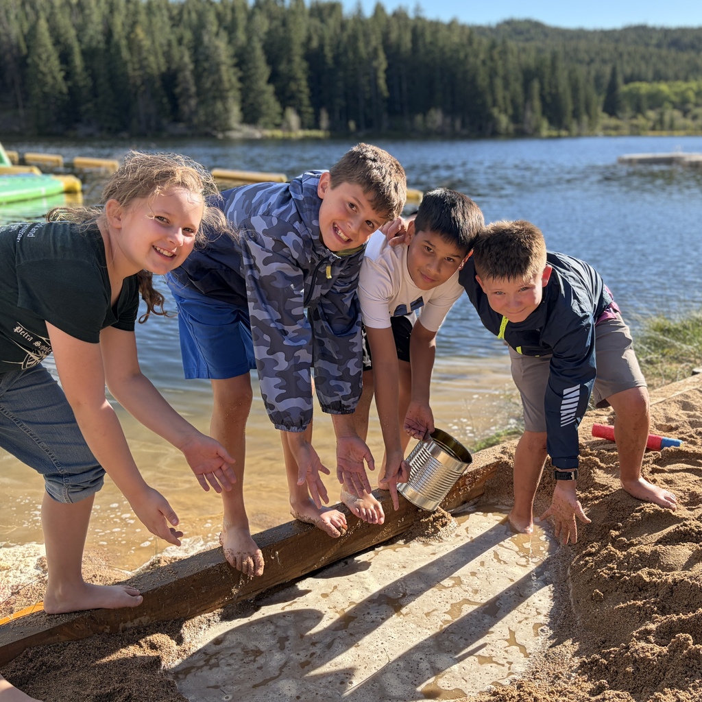 students playing on the beach