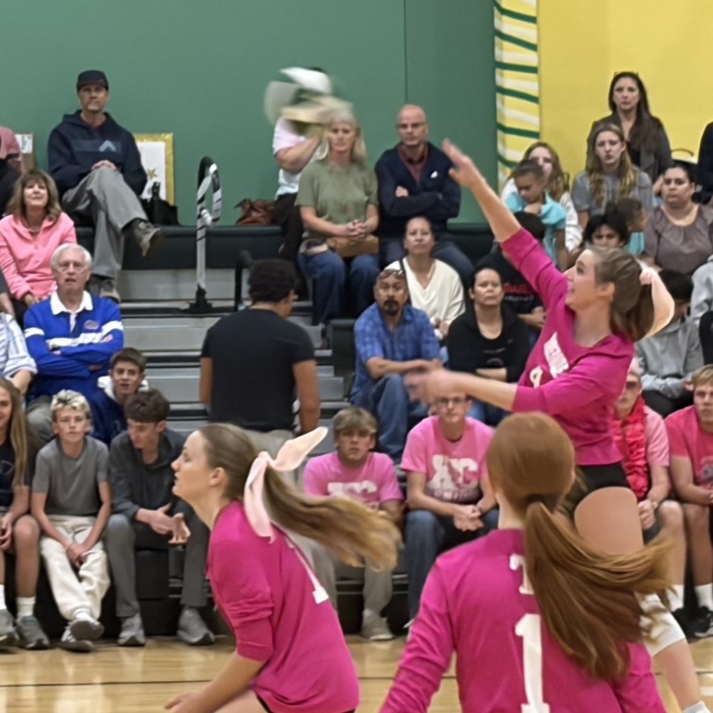 volleyball spike