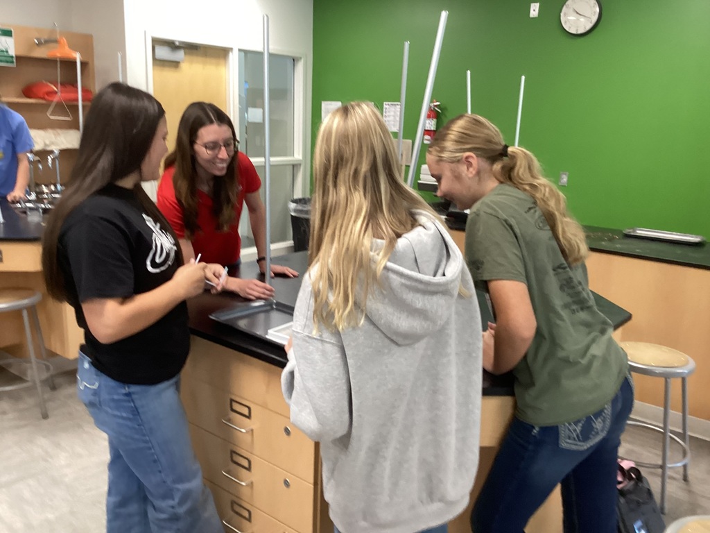 Classroom Activities