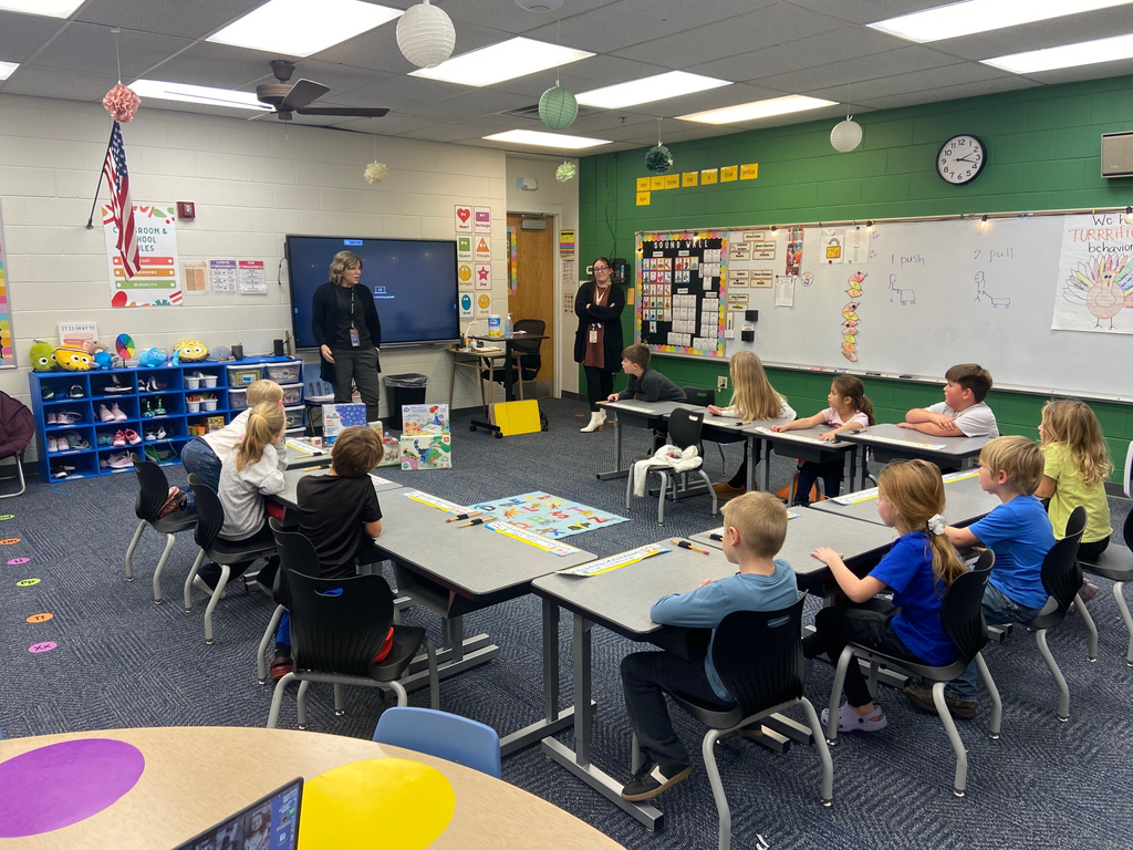 Presenting the STEM items 