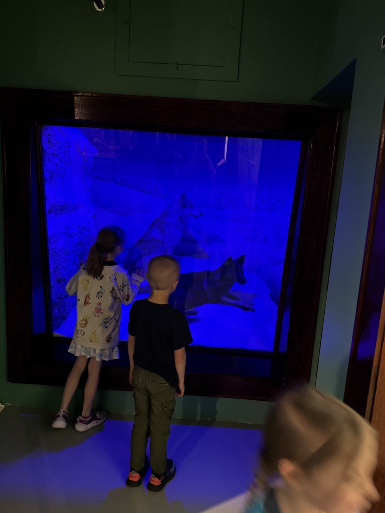 Kindergarten Field Trip 