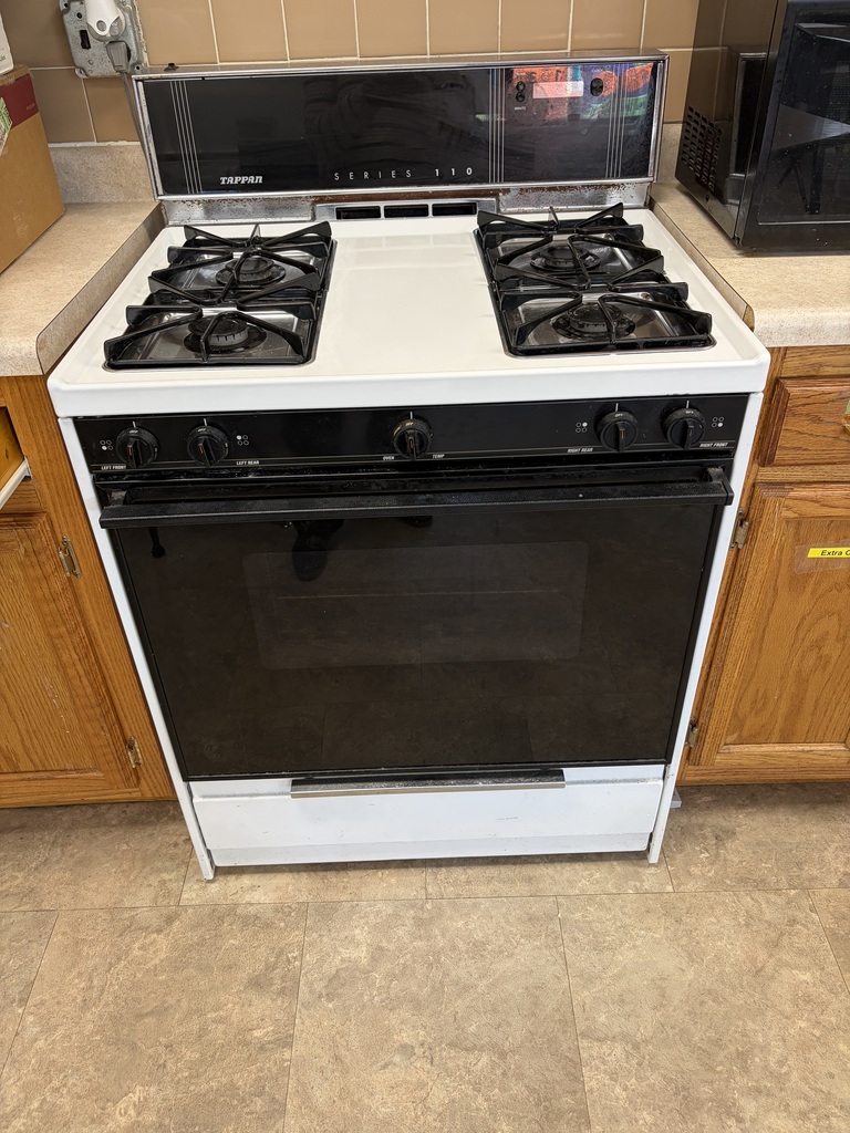 Gas Stove - $50