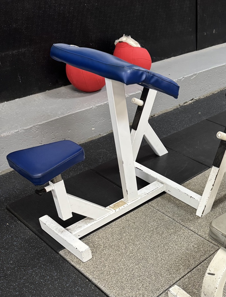 Preacher Curl Bench