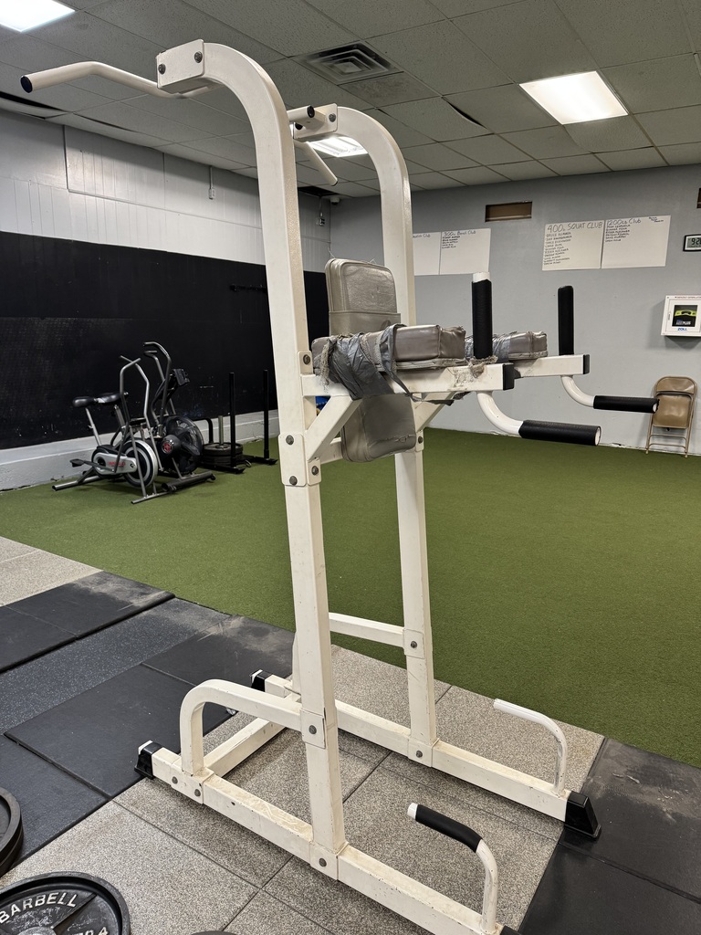VKR Multi Machine Pull Ups Dips