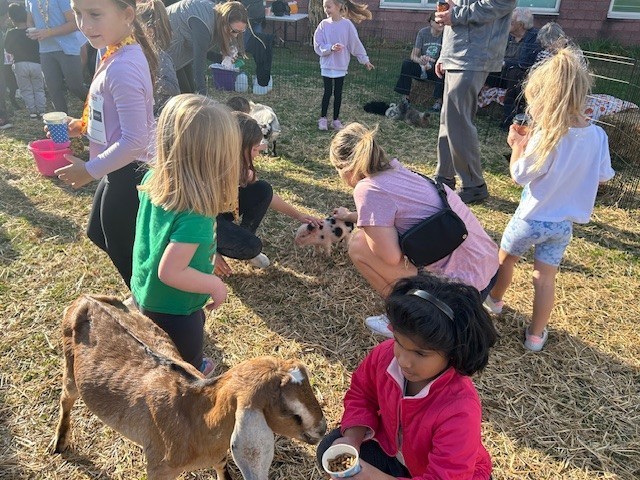 Students feeding farm animals in a petting zoo