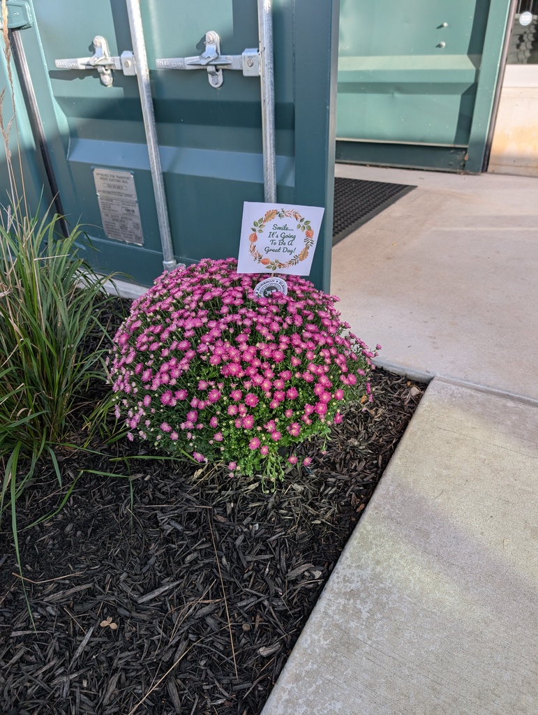 A purple mum plant with a kindness sign at the top which says "Smile! It's going to be a good day!"