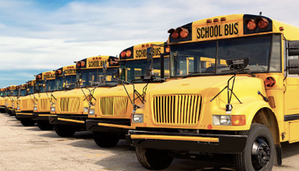 Buses