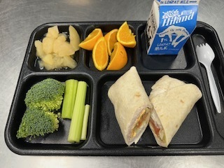 Turkey Club Wrap