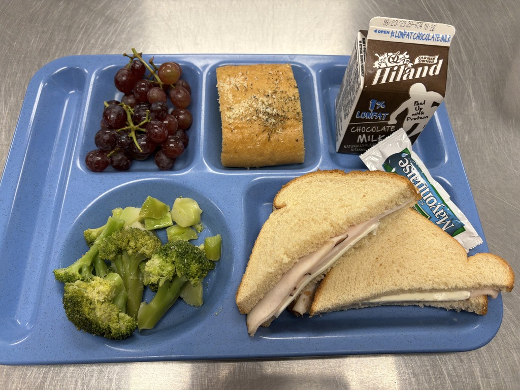 Turkey and Cheese Sandwich