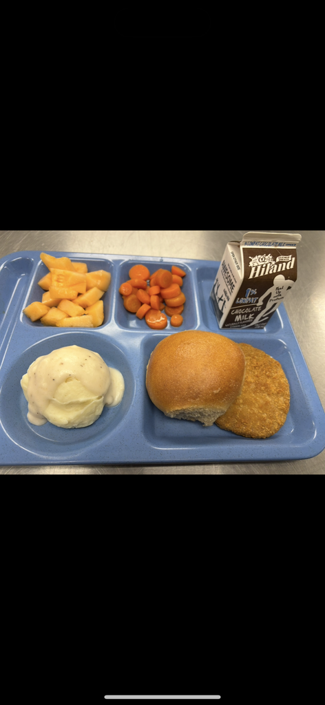 Chicken Patty