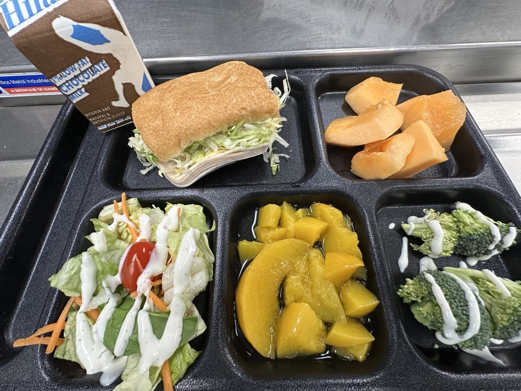 Turkey and Cheese Sub