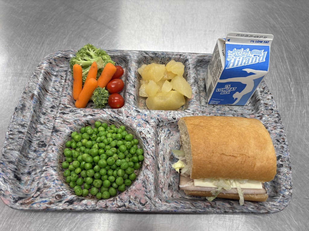 Turkey and Cheese Sub